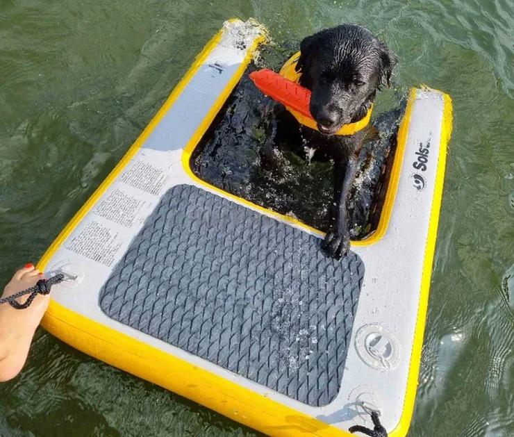 Hundplattform för vattenmiljöer